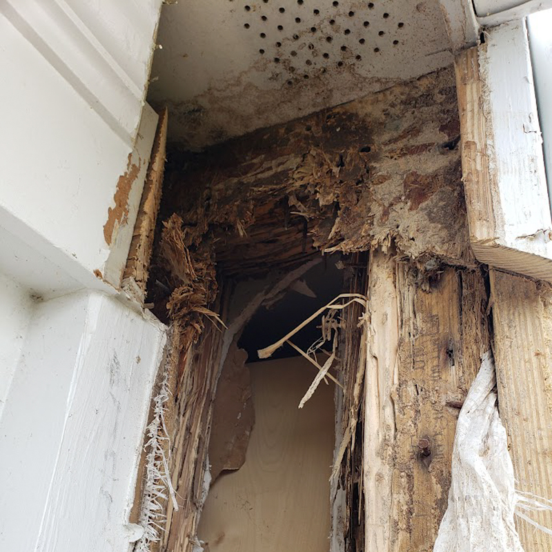 Significant termite damage on a house in Daniel Island South Carolina